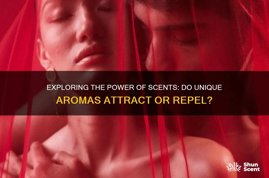 does different scent attract