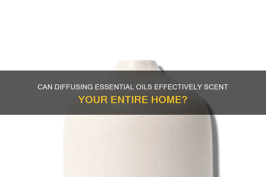 does diffusing essential oils scent your home