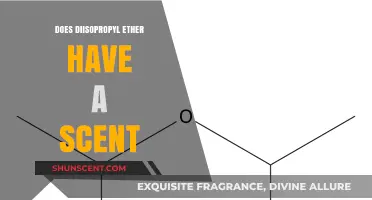 Does Diisopropyl Ether Have a Scent? Exploring Its Olfactory Properties