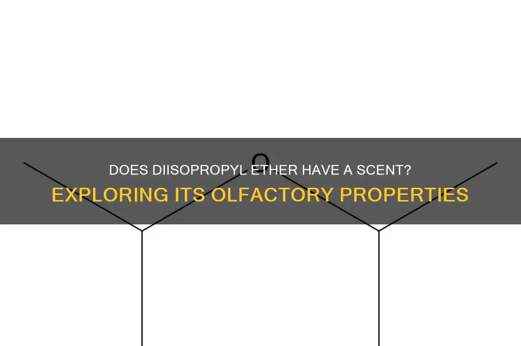 does diisopropyl ether have a scent