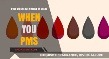 Does Discharge Scent Change During PMS? Understanding Your Body's Signals