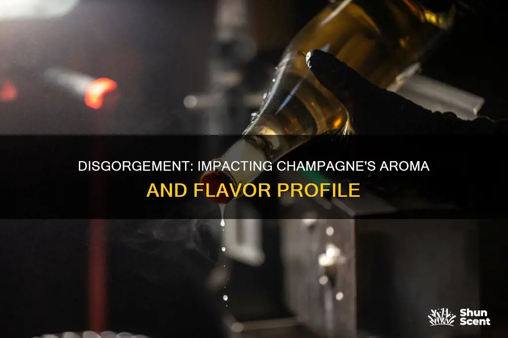 does disgorgement have a significant impact on aroma