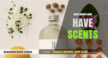 Exploring Disneyland's Magic: The Secret Scents of the Park