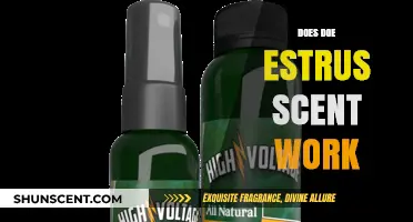 Does Doe Estrus Scent Really Work for Hunting Success?