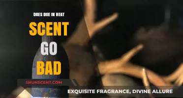 Does Doe in Heat Scent Expire? Shelf Life and Effectiveness Explained