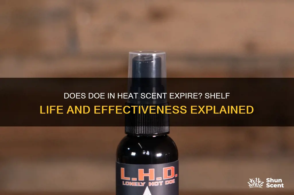does doe in heat scent go bad