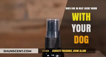 Does Doe in Heat Scent Effectively Train or Distract Your Dog?