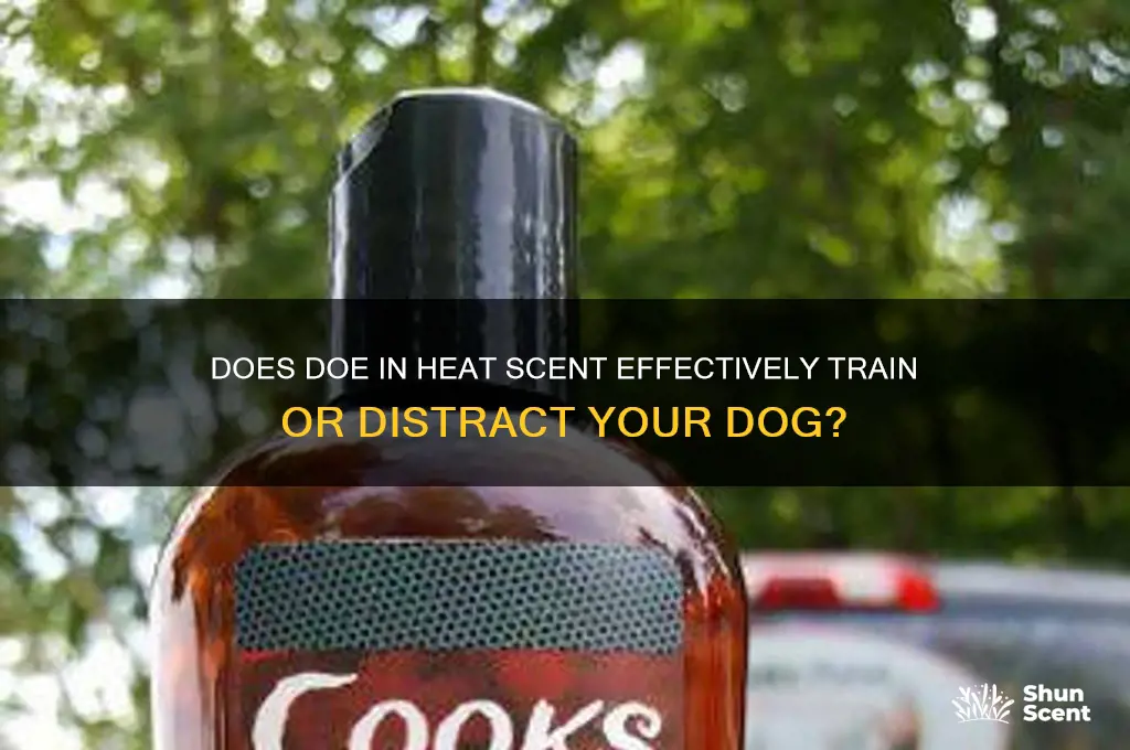 does doe in heat scent work with your dog