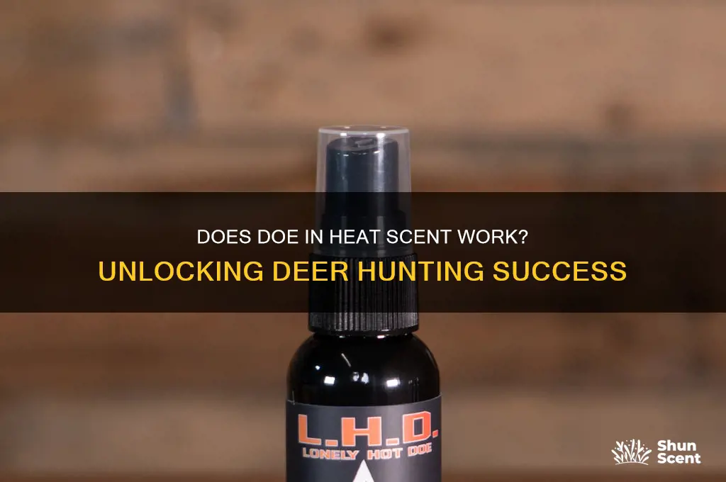does doe in heat scent work