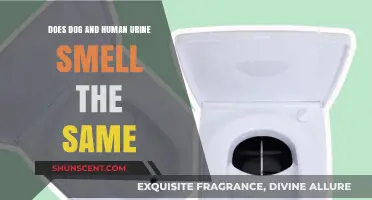 Exploring the Science Behind Canine and Human Urine Odors