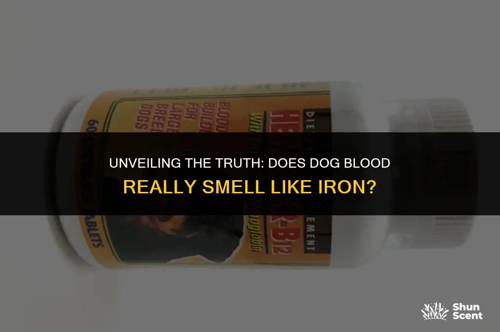 does dog blood smell like iron