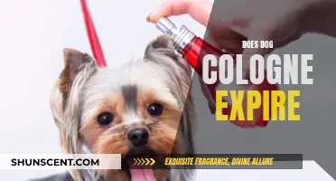 Understanding the Expiry of Dog Colognes: A Guide