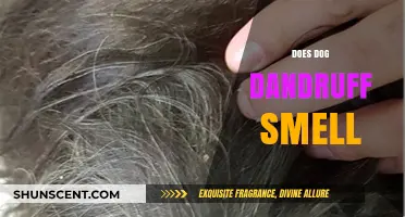 Unveiling the Truth: Does Dog Dandruff Really Have a Smell?