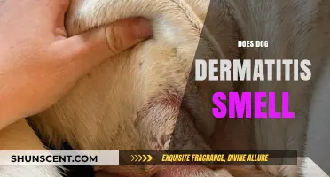 Unveiling the Truth: Does Dog Dermatitis Have a Distinct Smell?