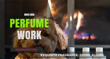 Dog Perfume: Does It Work?