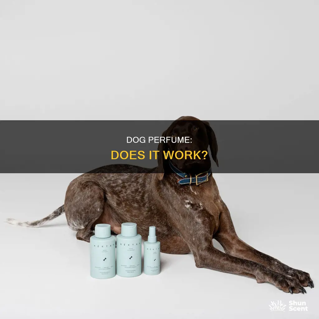 does dog perfume work