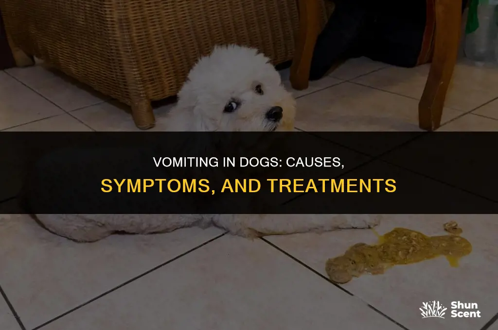 does dog puke smell like human puke