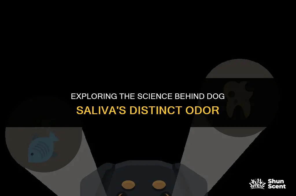 does dog saliva smell