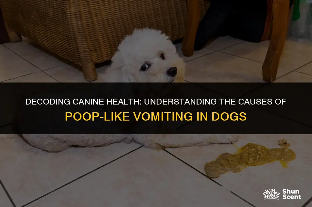 does dog sick smell like poop