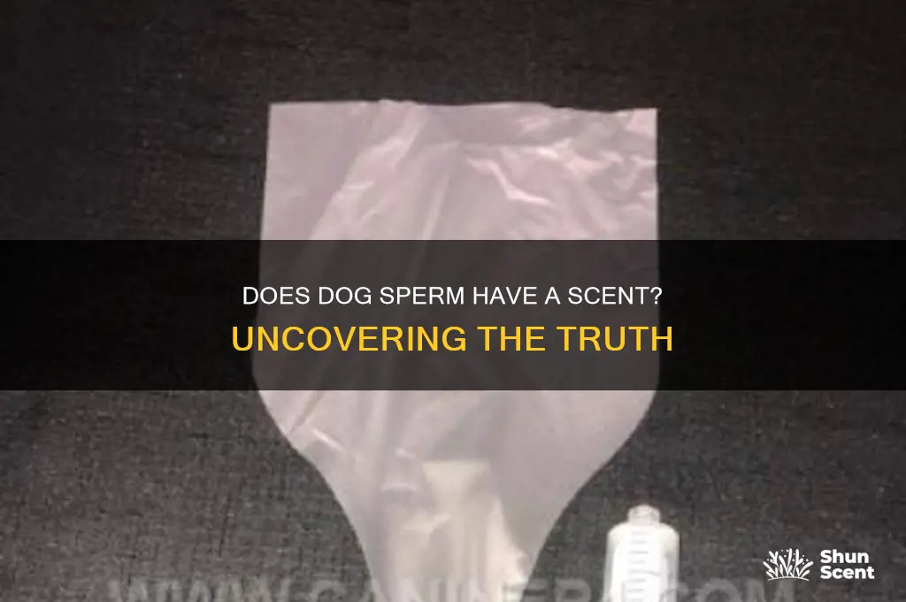 does dog sperm have al scent