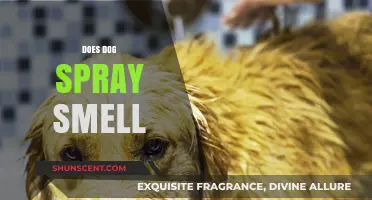 Unraveling the Mystery: Does Dog Spray Really Smell?