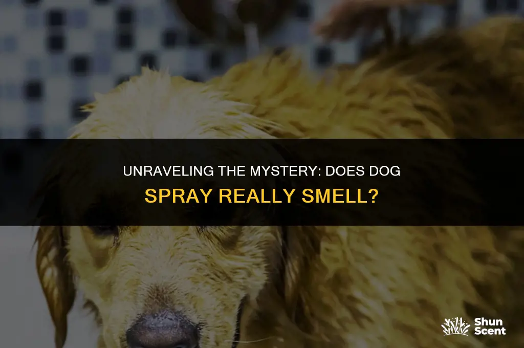 does dog spray smell