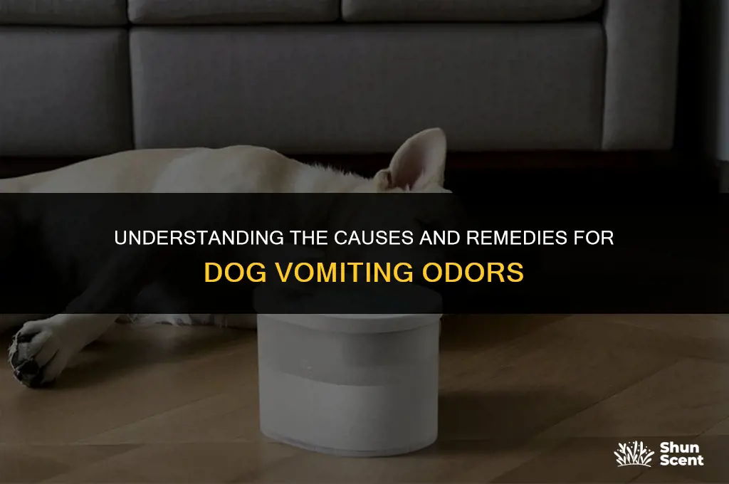does dog throw up smell