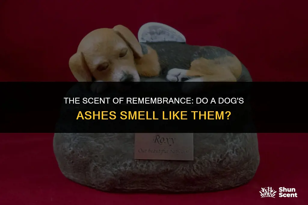 does dogs ashes smell like a dog