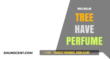 Dollar Tree Perfume: What You Need to Know
