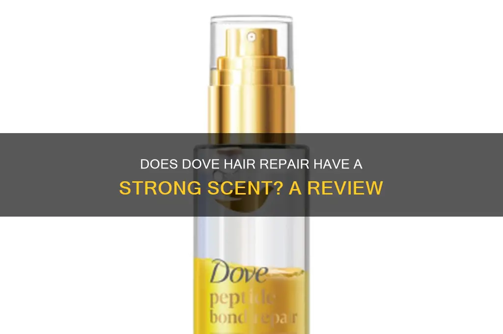 does dove hair repair have a strong scent