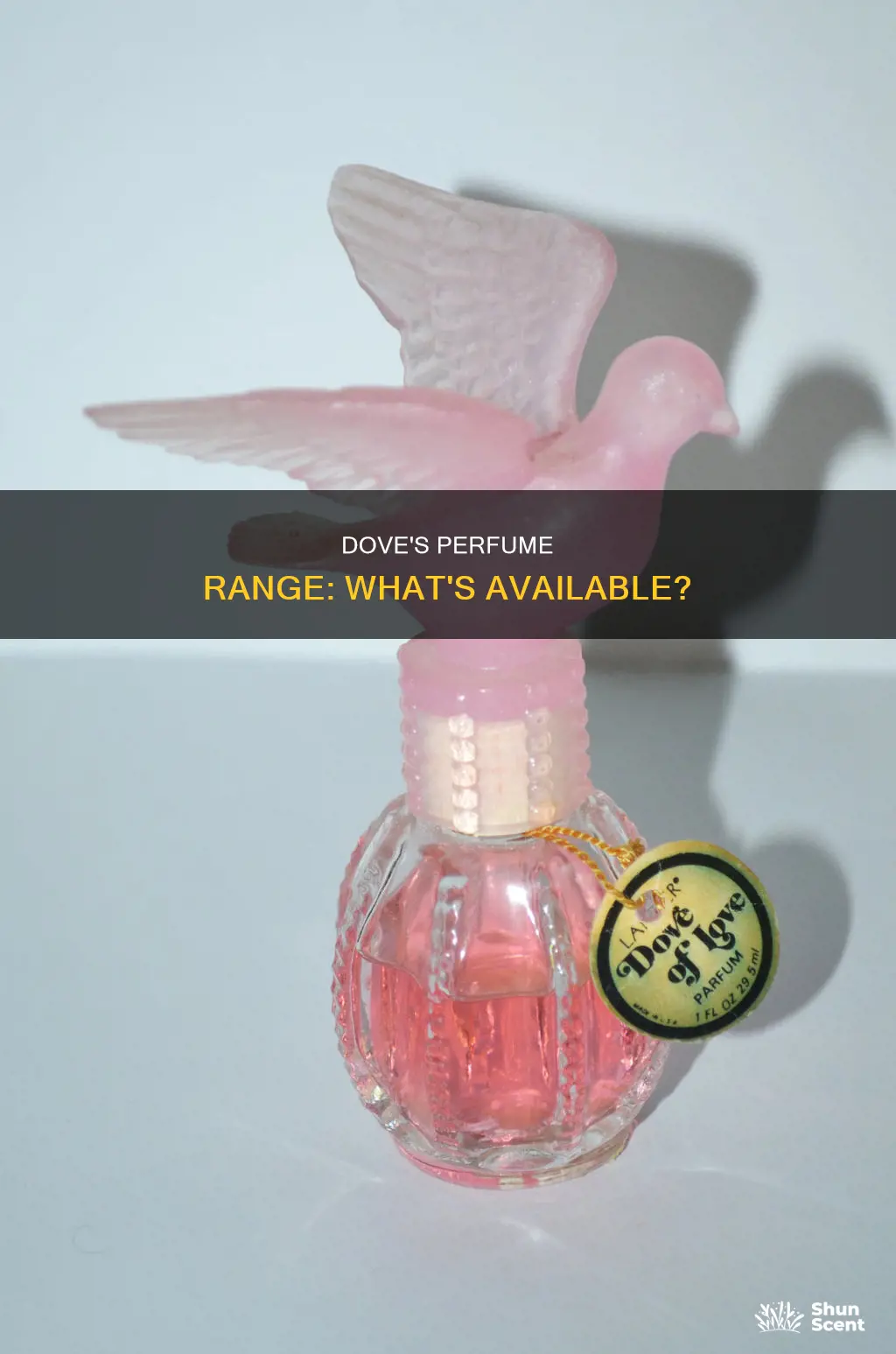 does dove make perfume