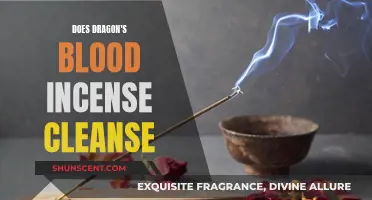 Dragon's Blood Incense: Cleansing Power of Ancient Rituals