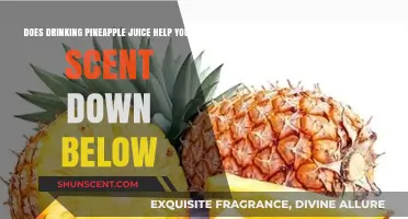 Pineapple Juice and Intimate Odor: Myth or Effective Freshness Boost?