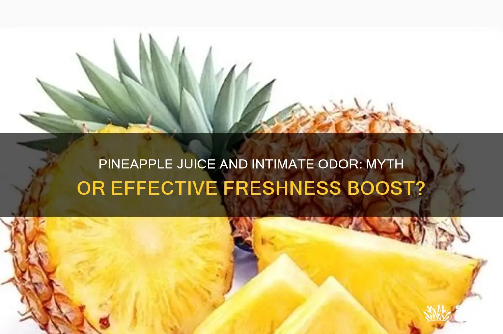 does drinking pineapple juice help your scent down below