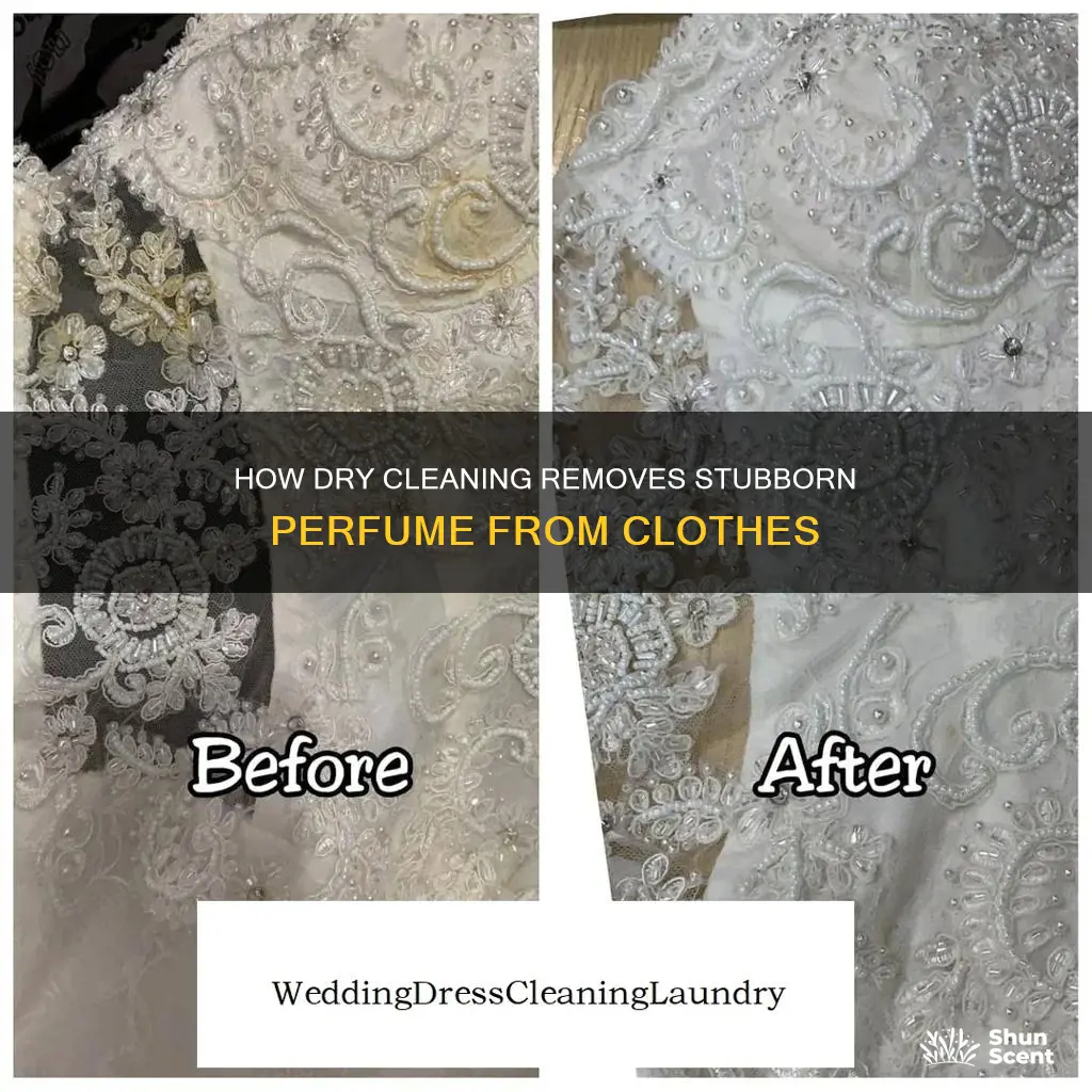 does dry cleaning get perfume out of clothes