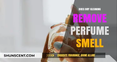 Dry Cleaning: Can It Remove Lingering Perfume Scents?