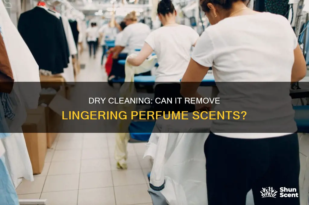 does dry cleaning remove perfume smell