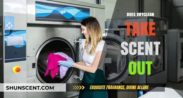 Does Dry Cleaning Effectively Remove Stubborn Odors from Clothes?