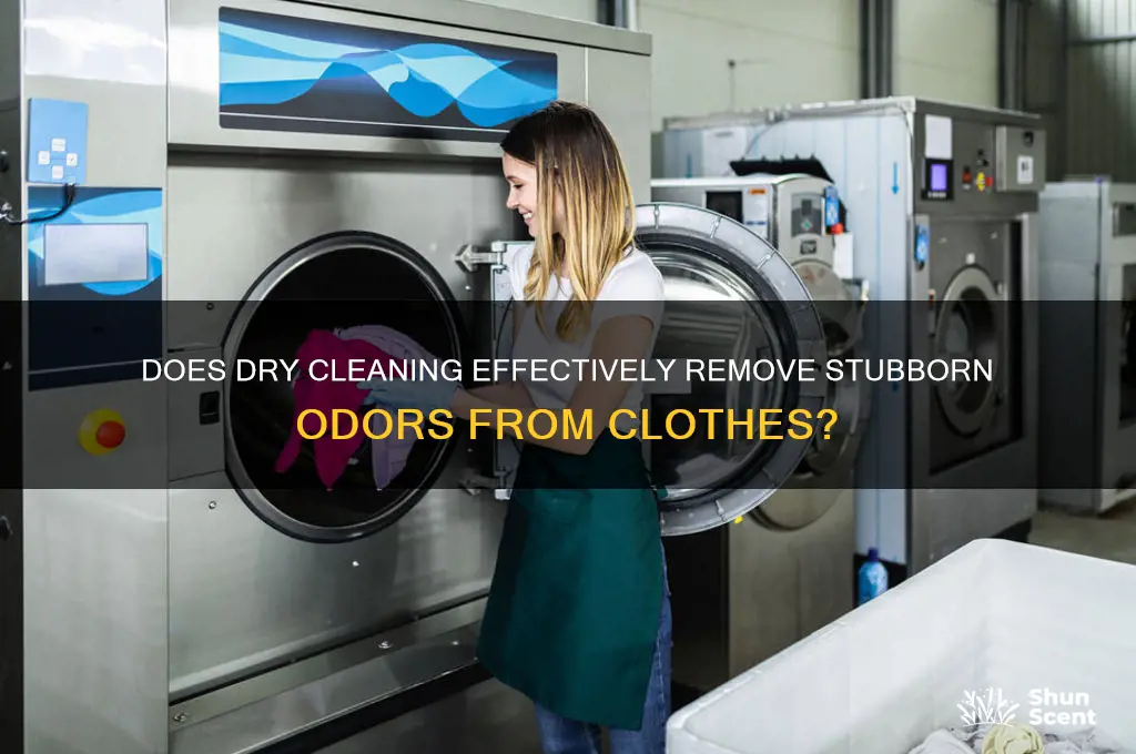 does dryclean take scent out