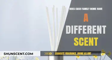 Unique Family Home Scents: Exploring the Aromas of Domestic Life