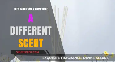 Unique Family Home Scents: Exploring the Aromas of Domestic Spaces