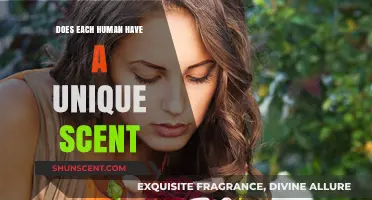 Unveiling the Mystery: Do Humans Possess a Unique Personal Scent?