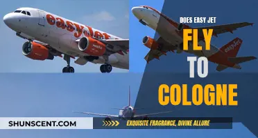 EasyJet's Cologne Flights: All You Need to Know