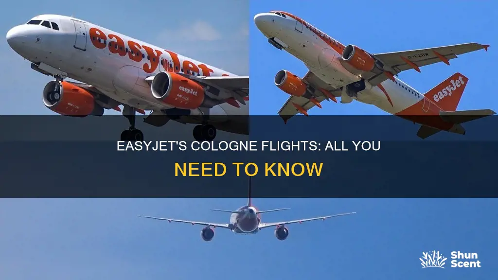 does easy jet fly to cologne