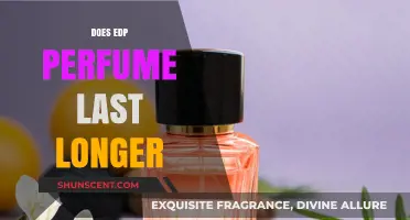 EDP Perfumes: Do They Really Last Longer?