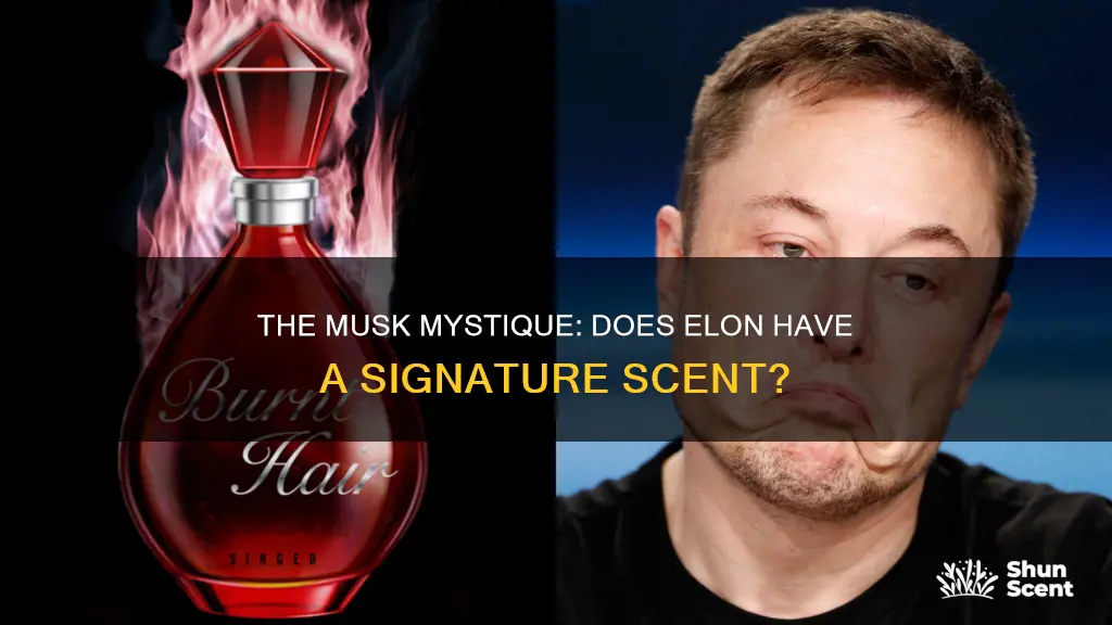 does elon musk have a cologne