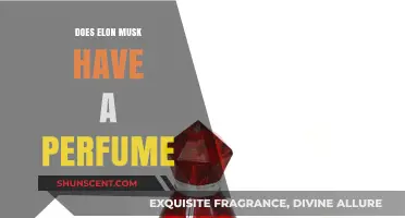 Elon Musk: The Scent of Success?