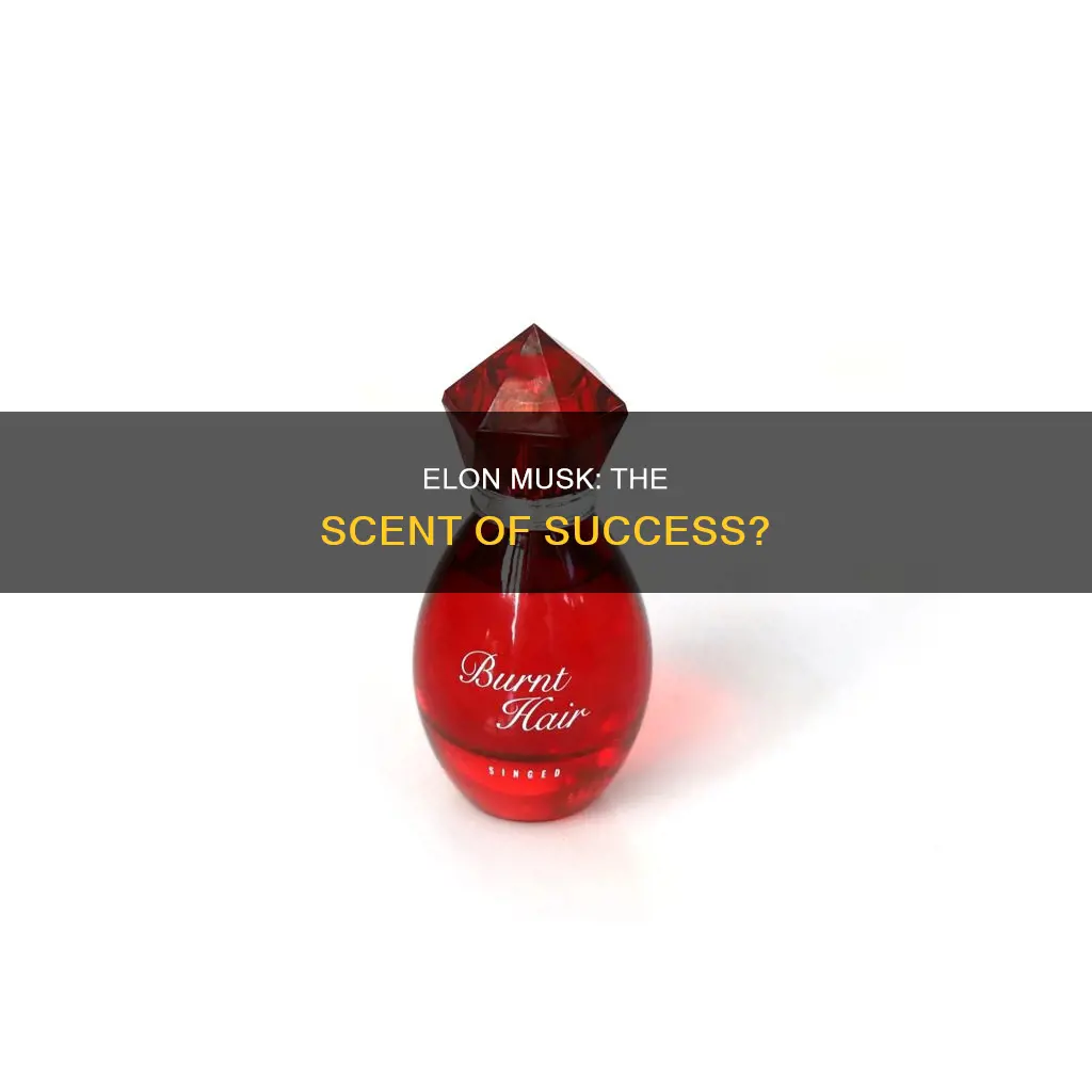 does elon musk have a perfume