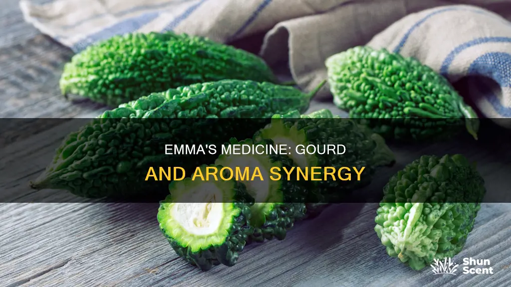 does emmas medicine aroma work with the gourd