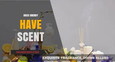 Can Energy Be Smelled? Exploring the Science Behind Scent and Energy